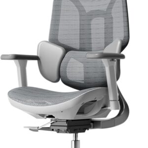 Hbada E3 Air ergonomiška biuro kėdė biuro fotelis-3 zonų dinaminė juosmens atrama, reguliuojama 3D Galvos atrama, Reguliuojami 3D porankiai, pasukama be kojų atramos, Pilka