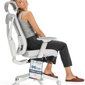 Desktronic reguliuojama ergonomiška biuro kėdė su juosmens atrama-neskauda nugaros-reguliuojamo aukščio kompiuterio kėdė ir apsaugo nugarą-Pilka