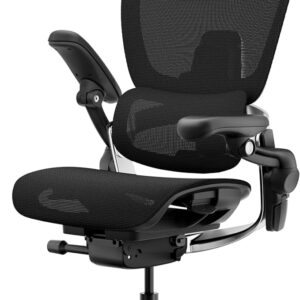 Hinomi H2 Pro ergonomiška biuro kėdė-juosmens atrama, reguliuojami porankiai ir galvos atrama, 150 kg, kvėpuojantis tinklelis, Pasukamas fotelis biurui ir žaidimams (Juodas)